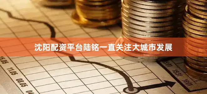 沈阳配资平台陆铭一直关注大城市发展