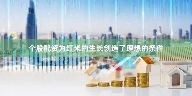 个股配资为红米的生长创造了理想的条件