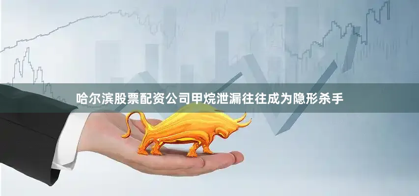 哈尔滨股票配资公司甲烷泄漏往往成为隐形杀手